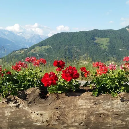 Tzoum'azur 7 アパート ラ・ズマ