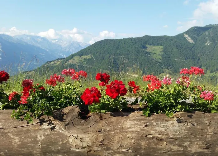 Tzoum'azur 7 Apartamento La Tzoumaz