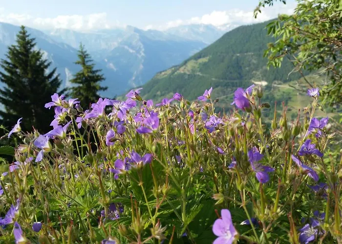 Apartamento Tzoum'azur 7 *